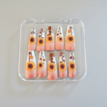 Daisey's press on nails - Tula Rose