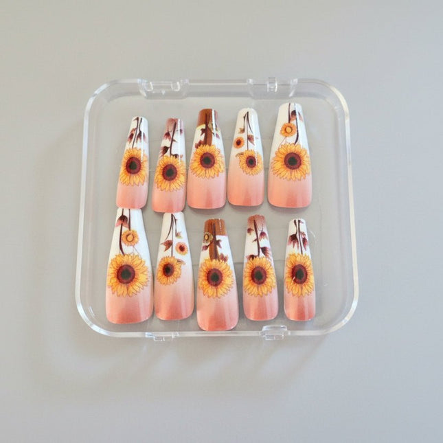 Daisey's press on nails - Tula Rose