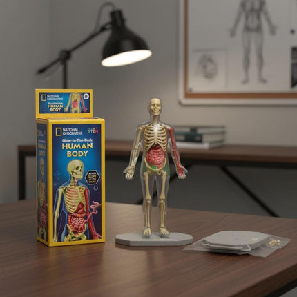 Glow in the dark human body - Foostuff! Amazing Deals Every Day!
